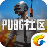 pubg^(q)