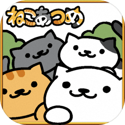 neko atsume°