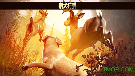 ¹2018ȸ(deer hunter 2018) v5.1.7 ׿ 1