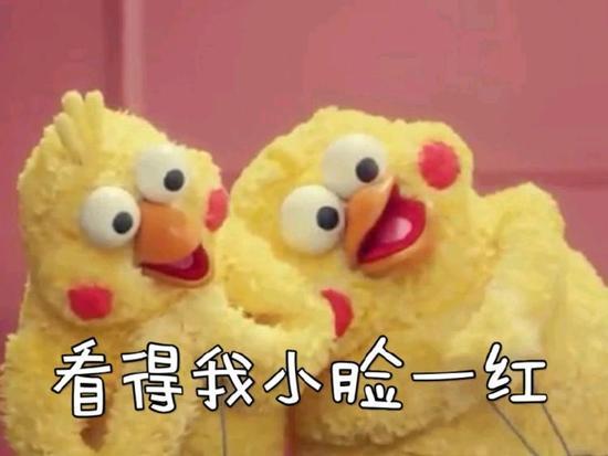 鹦鹉兄弟脆皮炸鸡表情