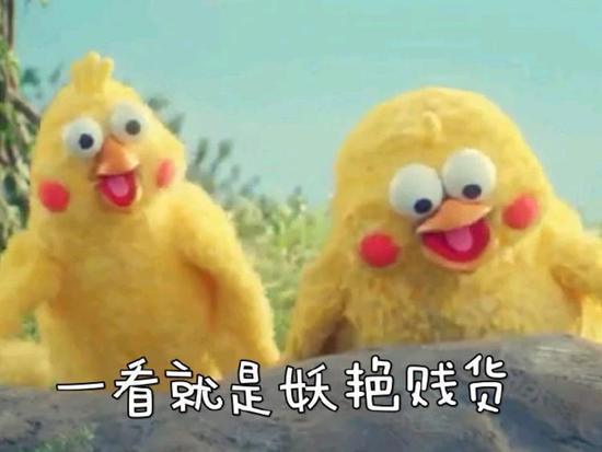 鹦鹉兄弟脆皮炸鸡表情