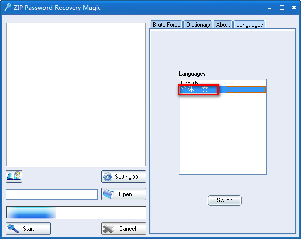 ZIP Password Recovery Magic中文教程 ZIP Password Recovery Magic中文教程