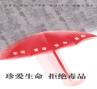 粘贴图片(31).png