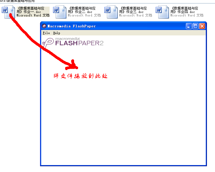 Macromedia Flash Paper Macromedia Flash Paper