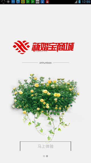 新婚宝
