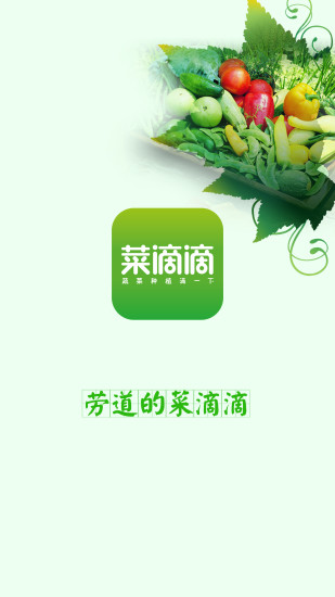菜滴滴app下载