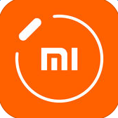 mi fit apk(С֭h(hun)Ӣİ)