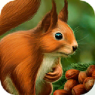 ģƽ(Squirrel Animal simulator)