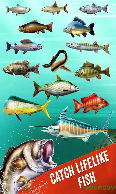 ֲ3Dĺ(The Fishing Club 3D) v2.62 ׿1