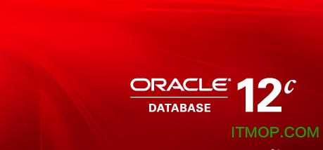 Oracle Database 12cݿ v12.1.0.2.0 ׼ 0