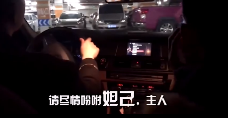 妲己语音导航app