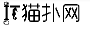 爱恋海豚湾