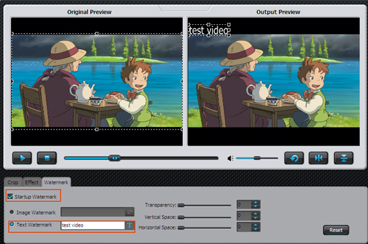 iSkysoft DVD Ripper