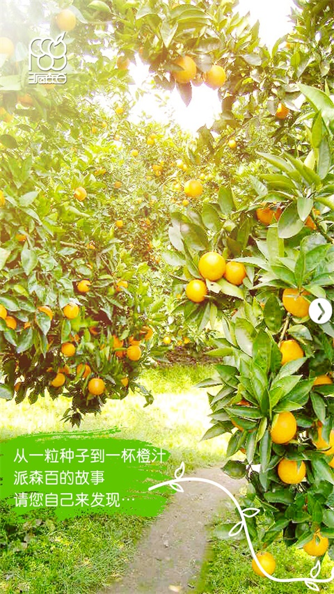 派森百app下载