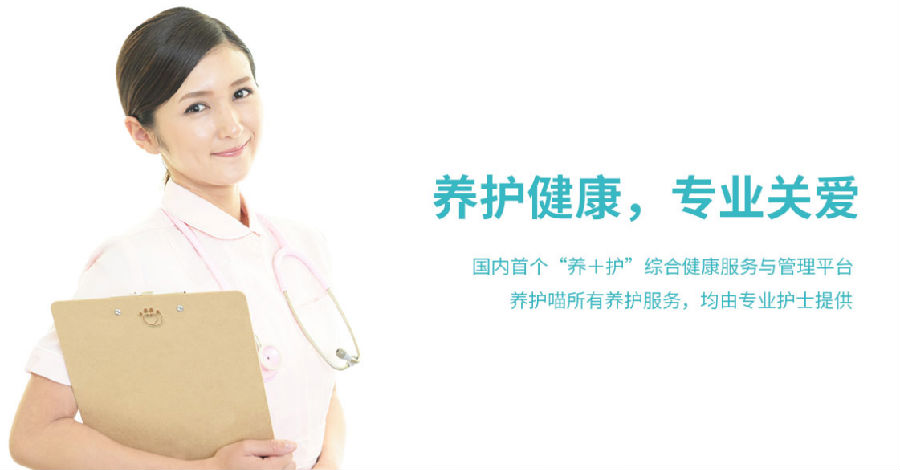 养护喵app