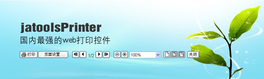 jatoolsPrinter打印软件
