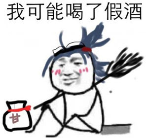我可能是假的 我可能是假的
