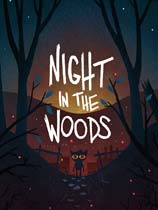 ֮ҹ(Night in the Woods)