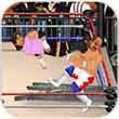 ˤӸ3do(w)ŭ(Wrestling Revolution 3D)