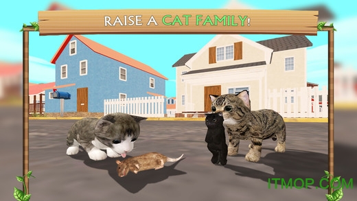 ؈ģMh(ni)ُƽ(Cat Sim Online) v1.9 ׿o޽޸İ 3