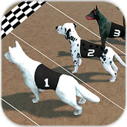 ڹƽ(Crazy Dog Racing)