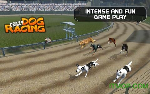 ڹƽ(Crazy Dog Racing) v2.2.9 ׿ 1