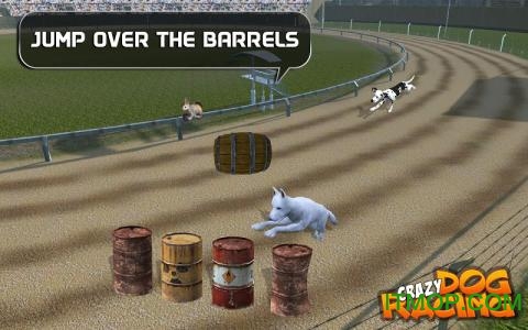 ڹƽ(Crazy Dog Racing) v2.2.9 ׿0