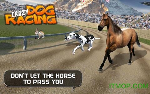 ڹƽ(Crazy Dog Racing) v2.2.9 ׿2