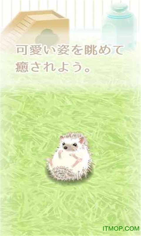 Ĵƽ(Hedgehog) v1.1 ׿ 1