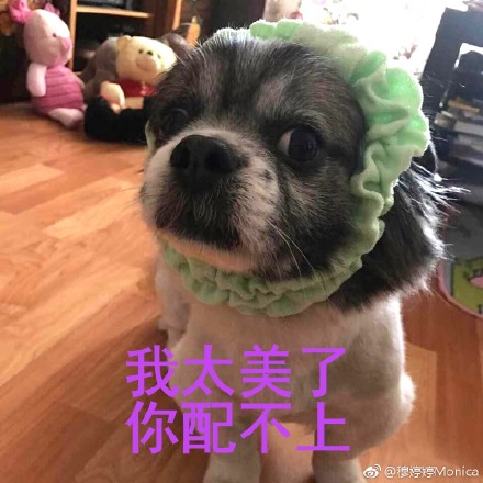 累成狗的图片