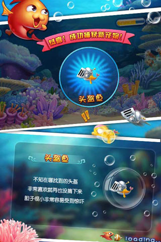 大鱼吃小鱼3手机版