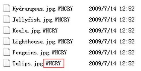 wncry勒索病毒修复软件