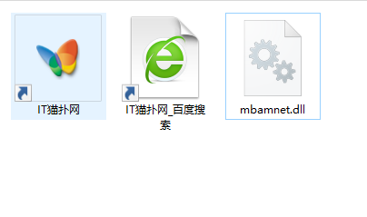 mbamnet.dll文件