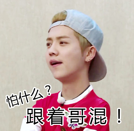 奔跑吧鹿晗表情包 奔跑吧鹿晗表情包