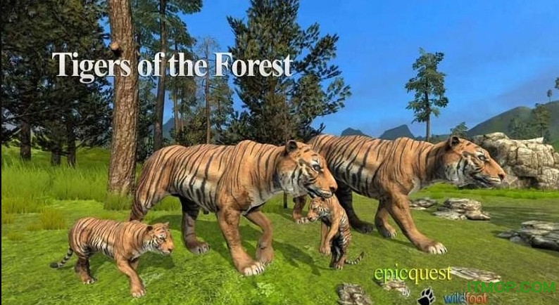 ֮(Tigers of the Forest) v1.0 ׿ 0