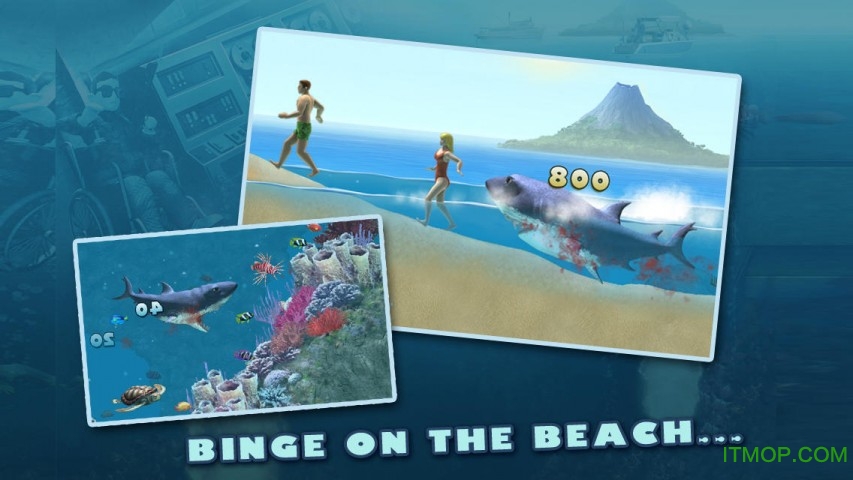 ios(Hungry Shark Trilogy HD) v3.1.1 iphone 0