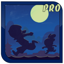 ߽ܿ°(Ninja Run Online Pro)