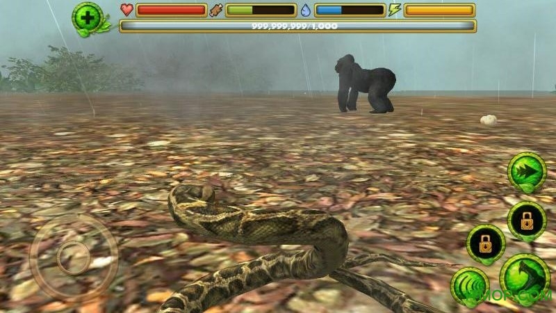 ORģMƽ(Snake Simulator) v1.1 ׿o޽(jng)(yn)޸İ 1