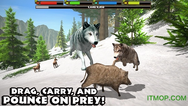 Ұðģ(Wild Wolf Adventure Simulator) v1.5 ׿޸İ 1