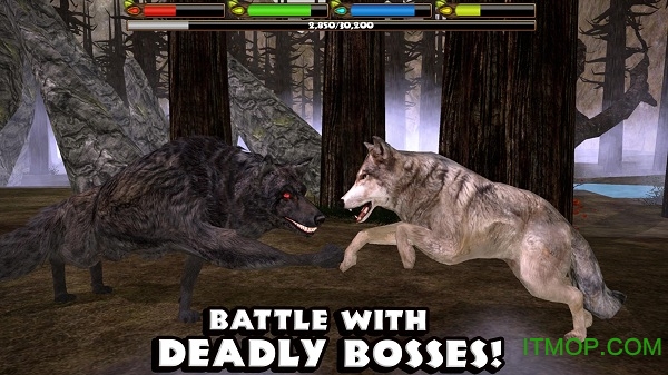 Ұðģ(Wild Wolf Adventure Simulator) v1.5 ׿޸İ 0