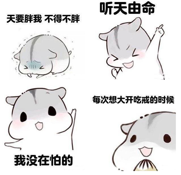 仓鼠表情包
