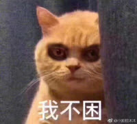 我不困表情包