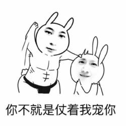 王思聪表情包