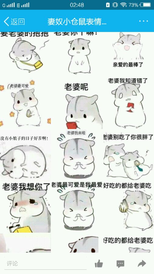 仓鼠妻奴表情包