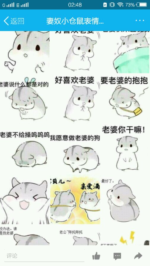 仓鼠妻奴表情包