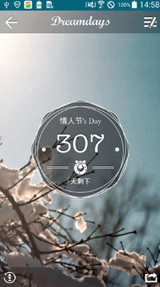 dreamdays dreamdays