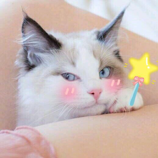 妞妞端午体字体 妞妞端午体字体