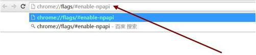 chrome npapi插件