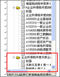 北京国家税务局办税软件演示版