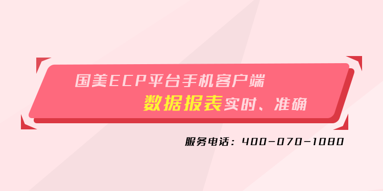 国美ecp系统app